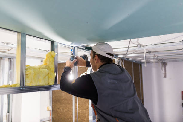 Best Geographic-Specific Insulation Services in Roseville, OH