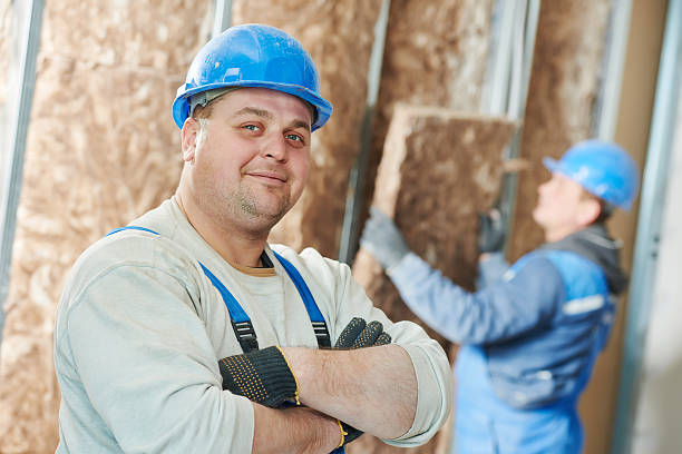 Best Insulation Maintenance and Repair in Roseville, OH