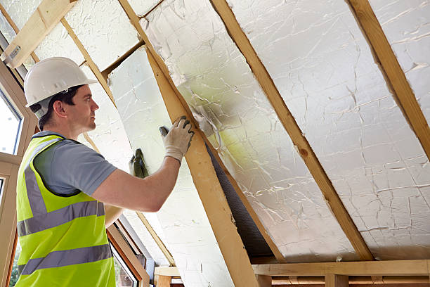 Best DIY Insulation Kits and Guidance in Roseville, OH