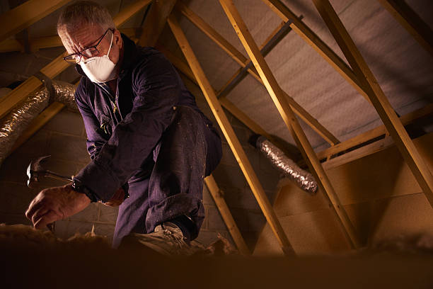 Best Commercial Insulation in Roseville, OH