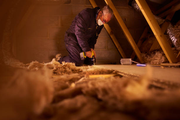 Best Cellulose Insulation in Roseville, OH